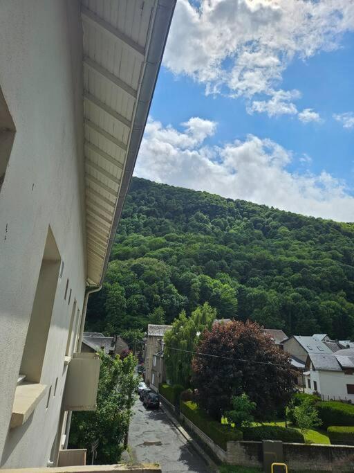 Chez Louise, Appartement T3 A Deux Pas Du Centre Bagnères-de-Luchon エクステリア 写真