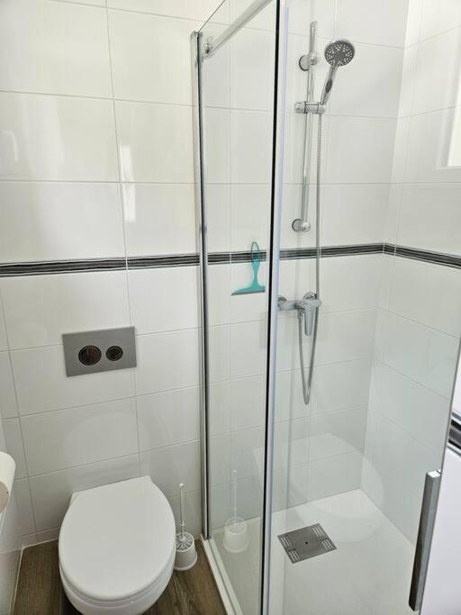 Chez Louise, Appartement T3 A Deux Pas Du Centre Bagnères-de-Luchon エクステリア 写真